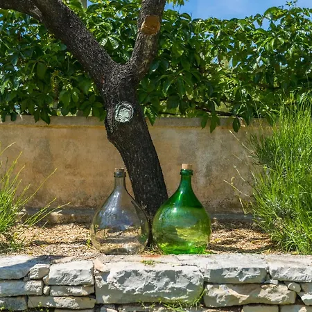 Villa Paulina -an Authentic Sense Of Istrian Life